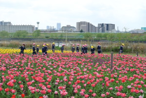 4月公園 076