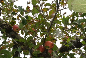 10月陶芸体験 352