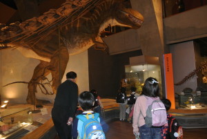 自然史博物館 (11)