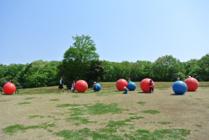 26年武蔵丘陵公園 049