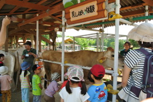 ポティロンの森 436