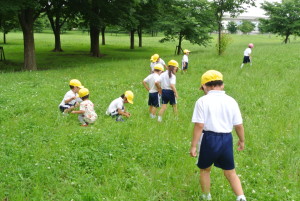 お魚つかみとブルーベリー 175