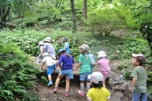 お魚つかみとブルーベリー 323