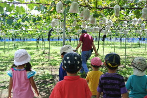 ぶどう狩り 148