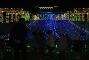 七五三・トロッコ 211