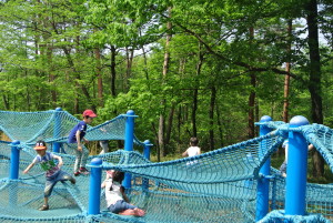 武蔵丘陵公園 154