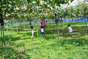 忍者合宿27年 307